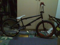 /album/photogallery/tinas-pictures013-jpg1/